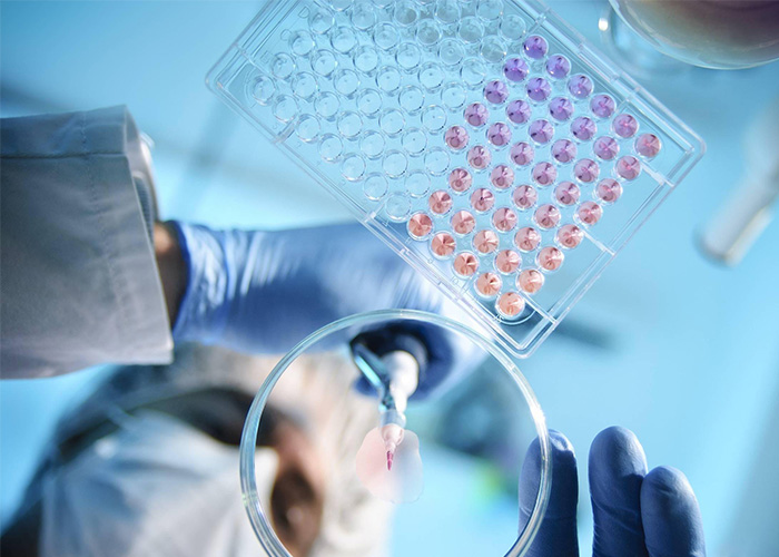 Xiushi バイオ医薬品: 合成生物学とポリペプチド製品に関する最新情報